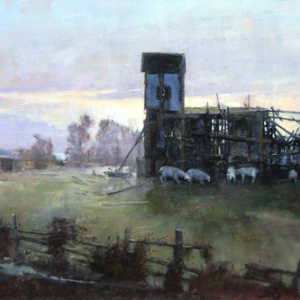 sheep-shed-study