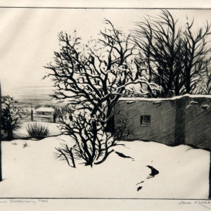 Gene-Kloss-1903-1996-Apricot-and-Chokecherry-Tree-Etching-6x-8-Signed-Lower-Right-Framed-2040