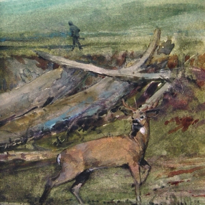 bruce-north_watercolor_august-buck-in-velvet