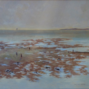 29 - Low Tide at Cold Storage Beach