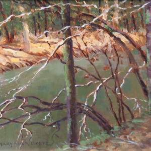 5 - Along the Creek, Willow