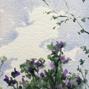 Lilacs