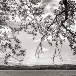 By the Hudson at Robert Post Park, Ulster Landing, June 7, 2020